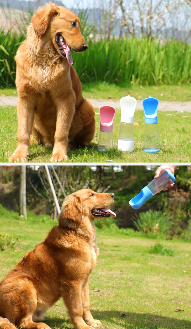 Portable Dog Water Bottle & Feeder for Outdoor Adventures