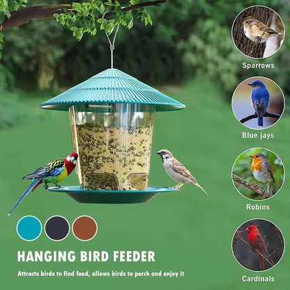 Transparent Window Bird Feeder for Nuts and Seeds