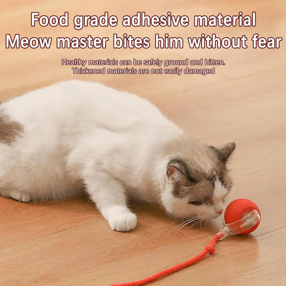 Rechargeable Interactive Cat Ball Toy with Faux Tail