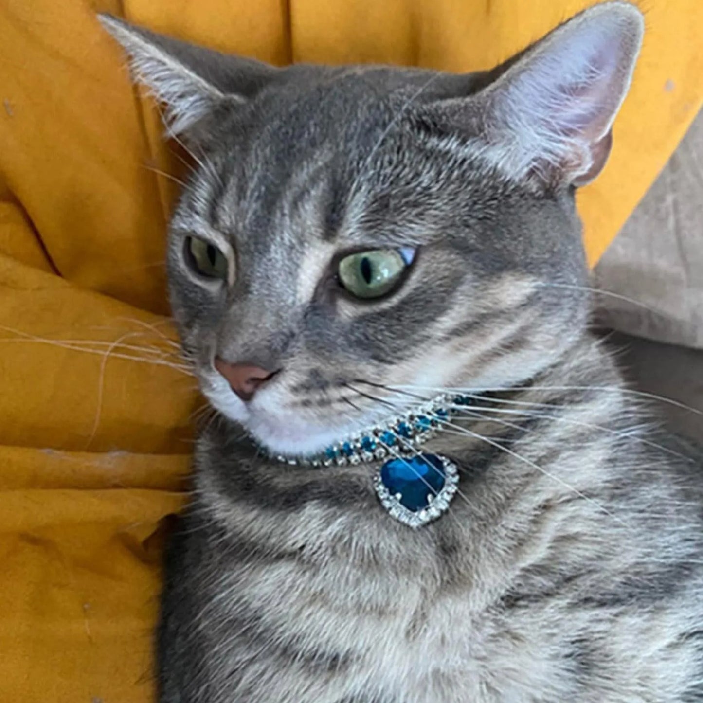 Rhinestone Crystal Pet Collar for Dogs and Cats