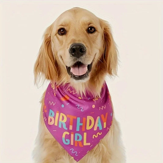 Dog Birthday Triangle Bibs and Scarf Accessories Set