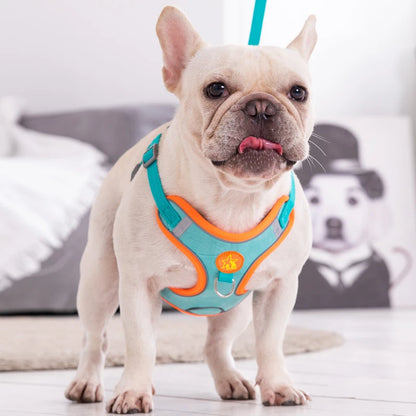 Reflective Chest Harness for Small Dogs with Traction Rope