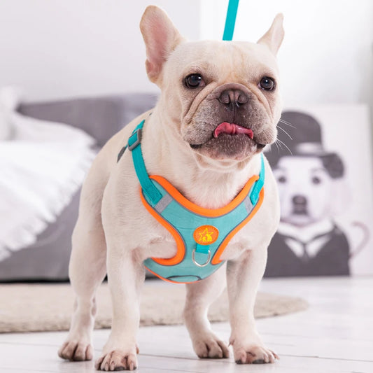 Reflective Chest Harness for Small Dogs with Traction Rope