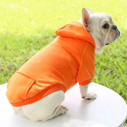 Warm Hooded Sweater for Small Dogs - Autumn & Winter Wear