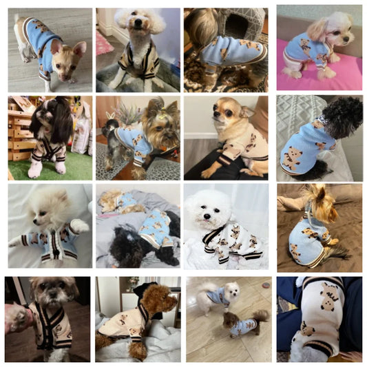 Striped Cardigan Sweater for Small Dogs and Cats