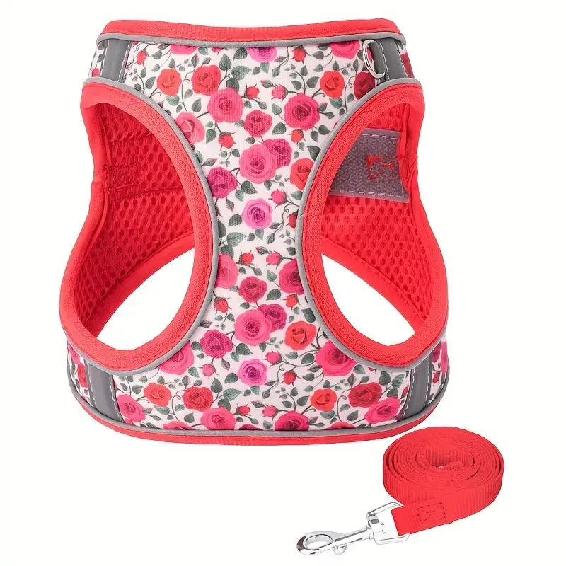 Printed 360° Fit Pet Harness with 1.5m Leash for Dogs & Cats