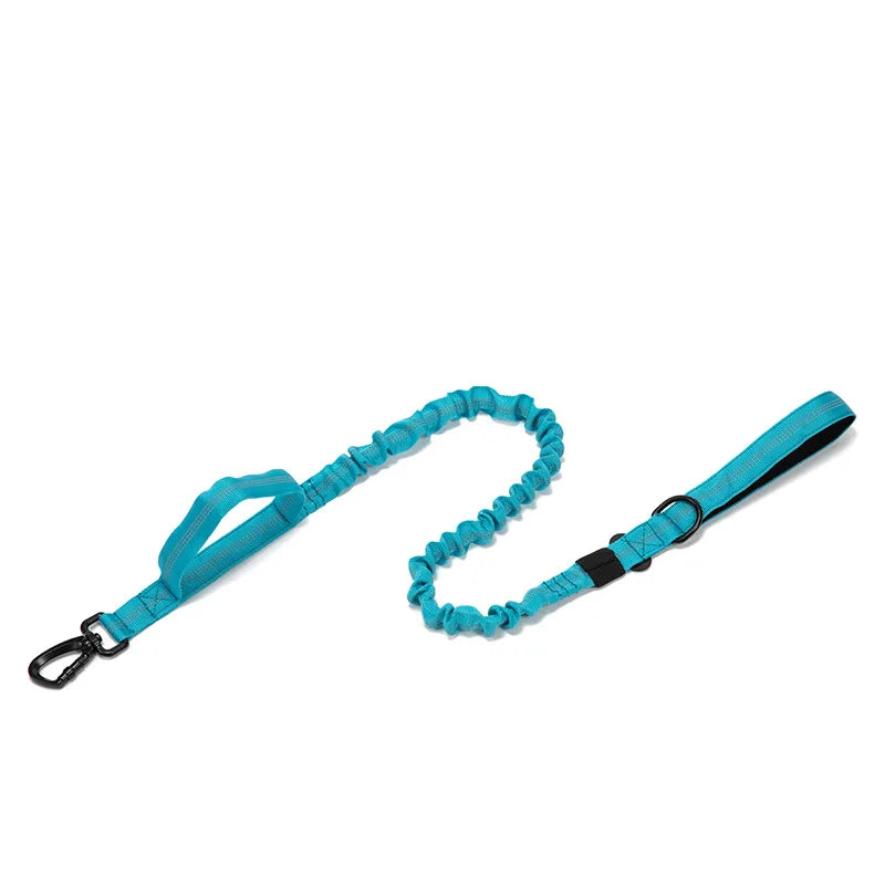 Durable Nylon Dog Collar and Reflective Leash Set