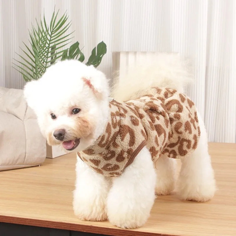 Cozy Winter Dress for Small Dogs and Puppies