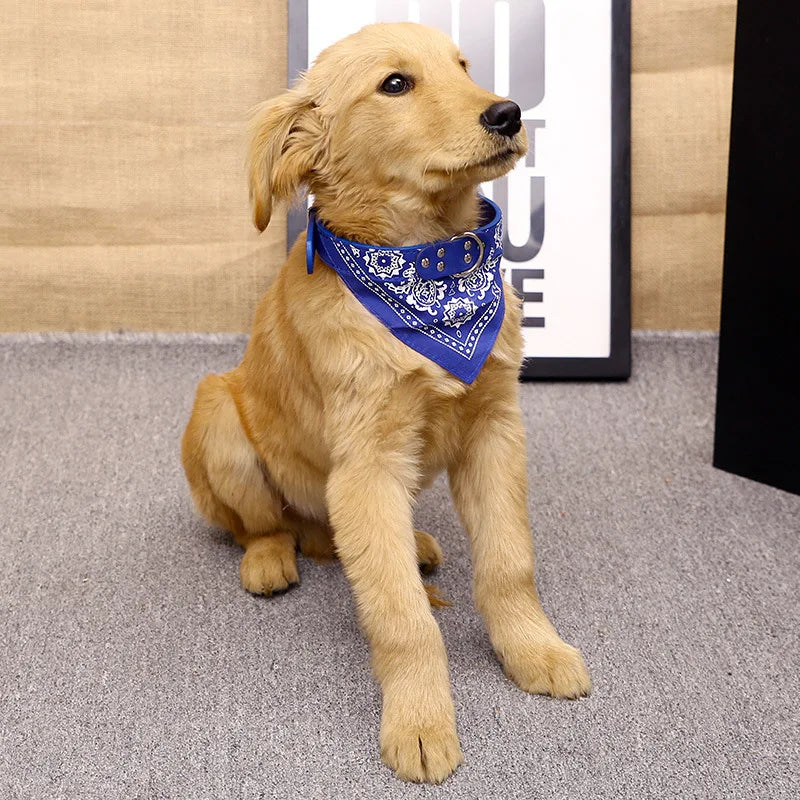 Adjustable Scarf Collar for Small Dogs and Puppies