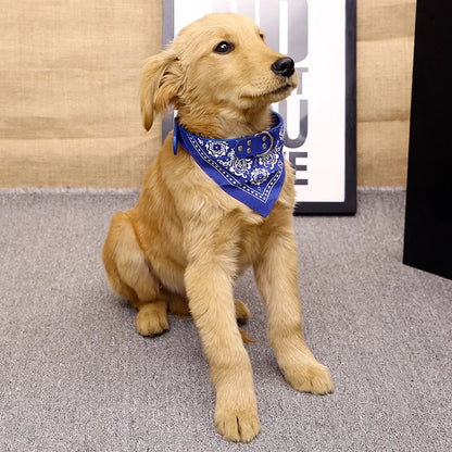 Adjustable Scarf Collar for Small Dogs and Puppies