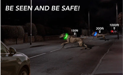 LED Light-Up Dog Collar for Night Safety - USB Rechargeable
