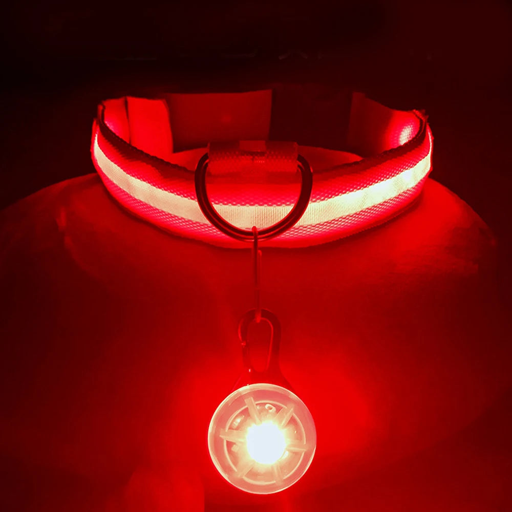 LED Light-Up Dog Collar for Night Safety - USB Rechargeable
