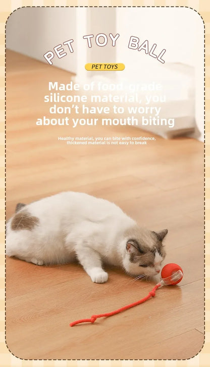 Rechargeable Electric Interactive Ball for Dogs and Cats