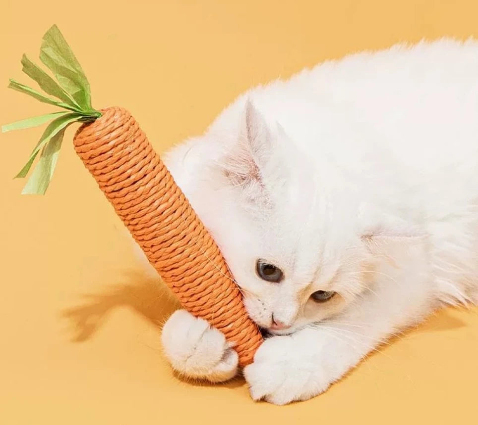 Carrot Teething Sticks for Cats - Bite & Scratch Resistant