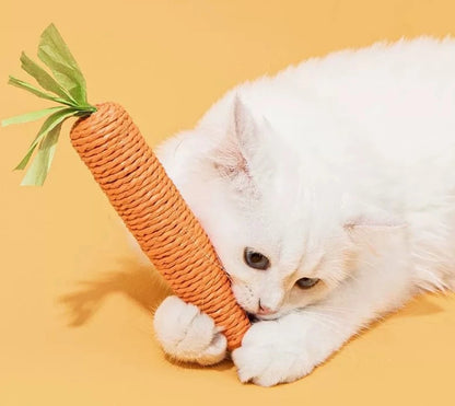 Carrot Teething Sticks for Cats - Bite & Scratch Resistant