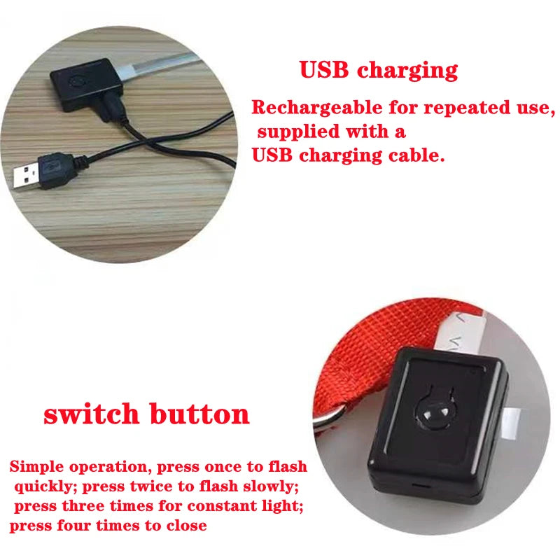 LED Light-Up Dog Collar for Night Safety - USB Rechargeable