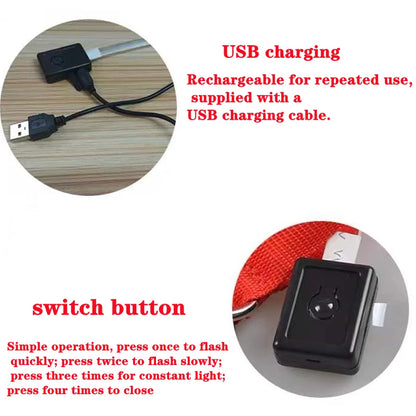 LED Light-Up Dog Collar for Night Safety - USB Rechargeable