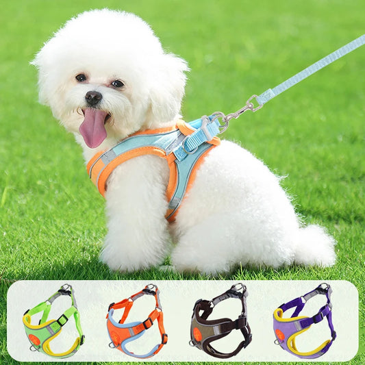 Reflective Chest Harness for Small Dogs with Traction Rope