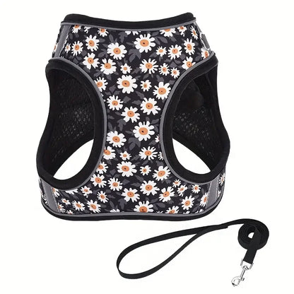 Printed 360° Fit Pet Harness with 1.5m Leash for Dogs & Cats