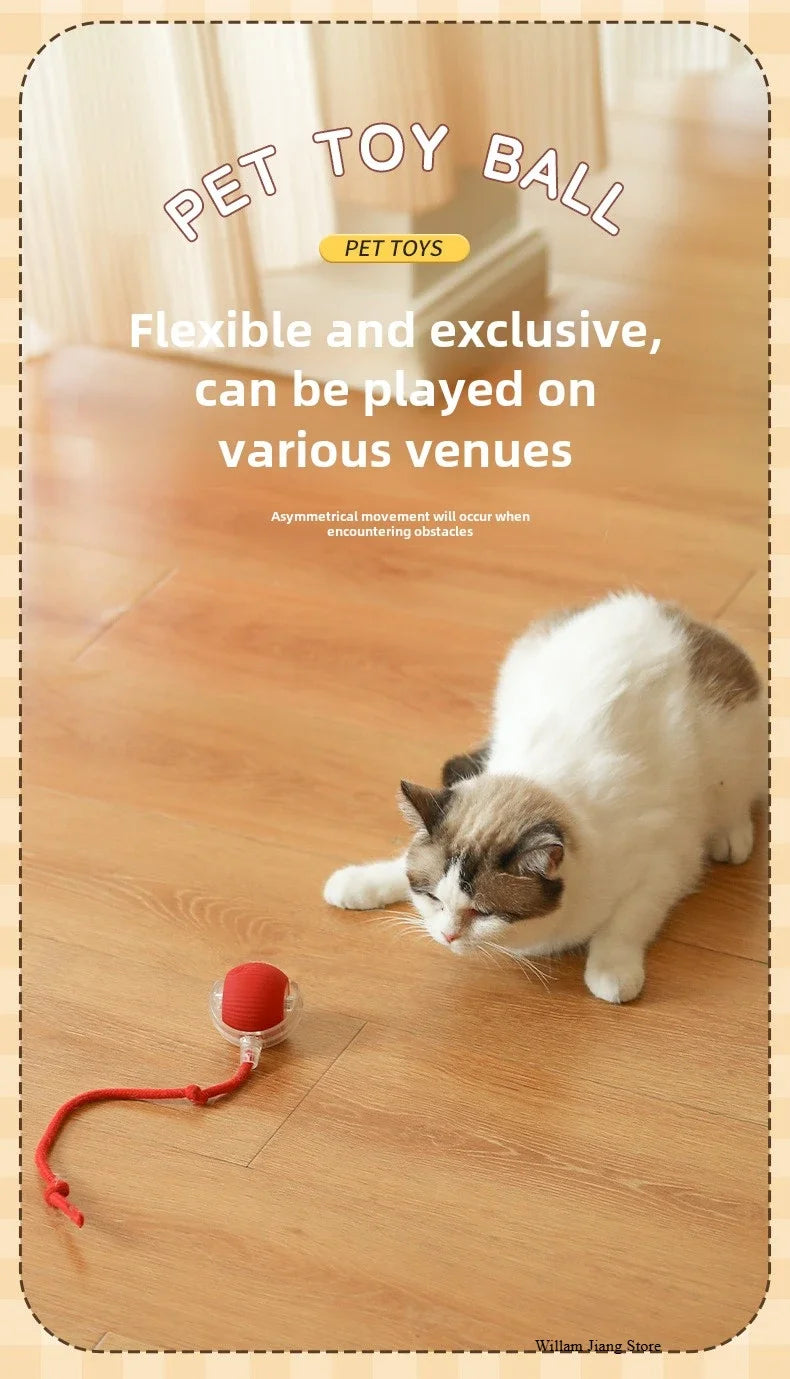 Rechargeable Electric Interactive Ball for Dogs and Cats