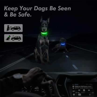 LED Glowing USB Rechargeable Pet Safety Collar for Dogs and Cats