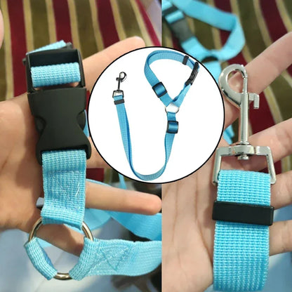 Adjustable Two-in-One Pet Car Seat Belt and Leash