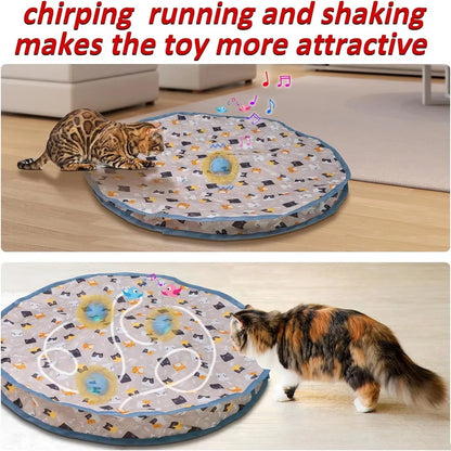 Motion-Activated Cat Toy Ball for Active Indoor Play