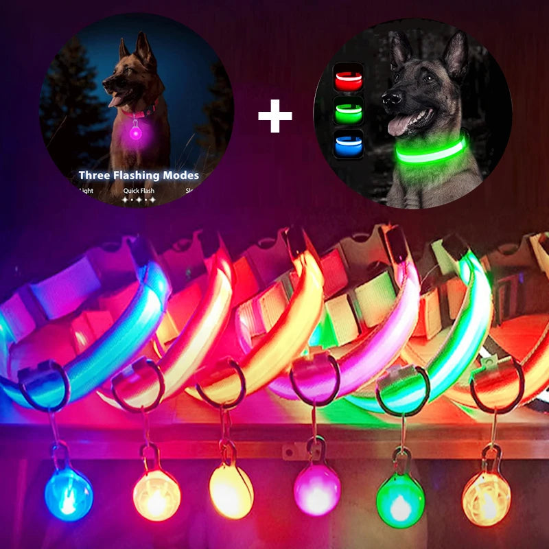 LED Light-Up Dog Collar for Night Safety - USB Rechargeable