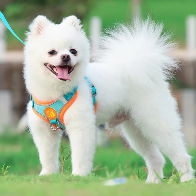 Reflective Chest Harness for Small Dogs with Traction Rope