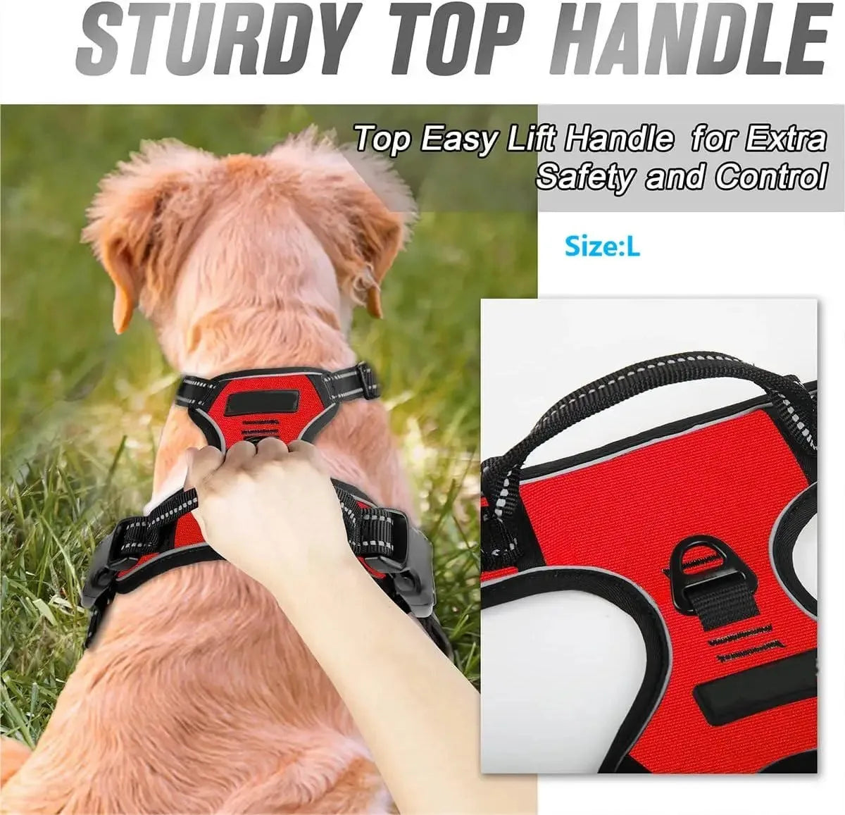 Leather Dog Collars and Harness Set for Medium and Small Dogs