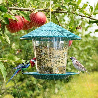 Transparent Window Bird Feeder for Nuts and Seeds