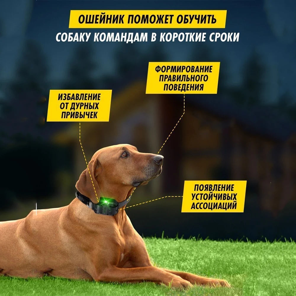 Remote Dog Training Collar for Large, Medium, Small Dogs