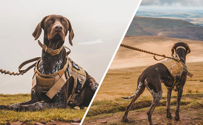 Tactical Dog Harness and Leash Set for All Breeds