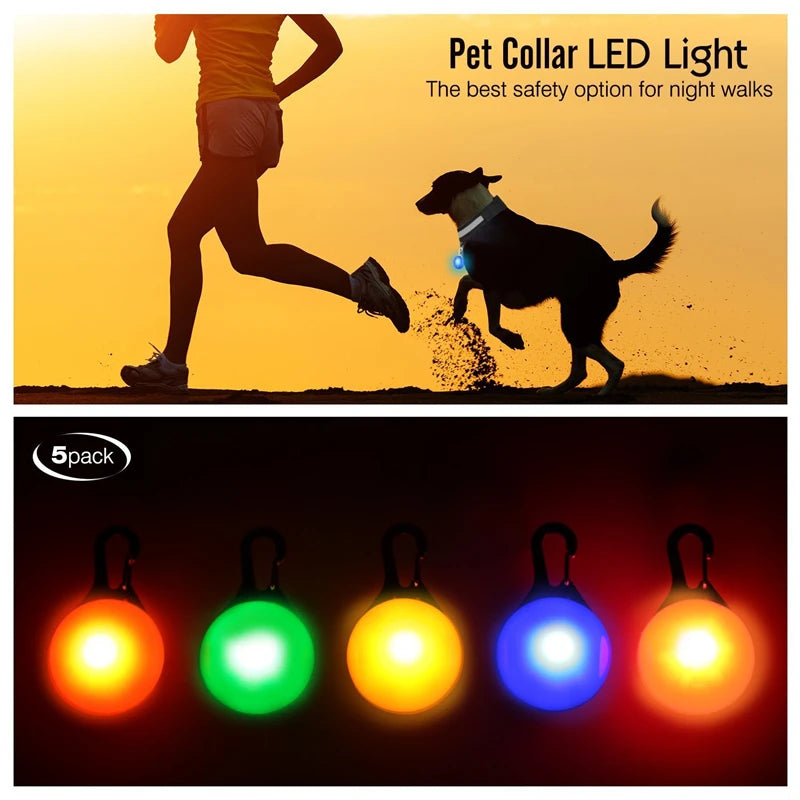 LED Light-Up Dog Collar for Night Safety - USB Rechargeable