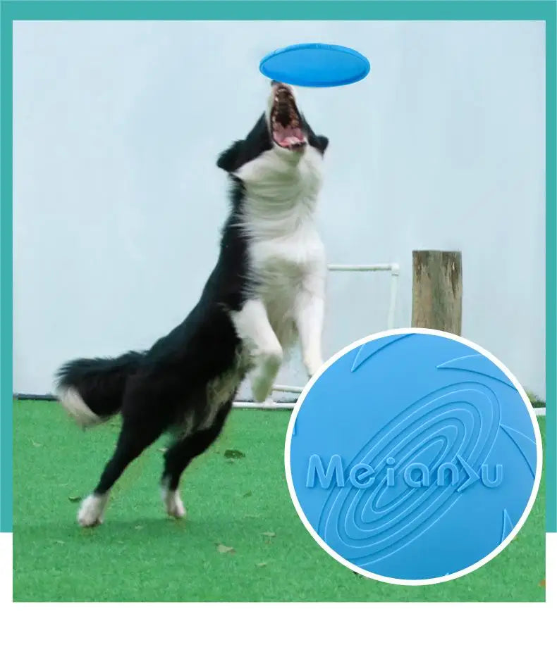 Bite-Resistant Flying Disc for Dog Training and Play