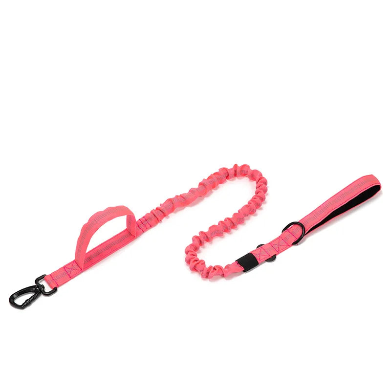 Durable Nylon Dog Collar and Reflective Leash Set