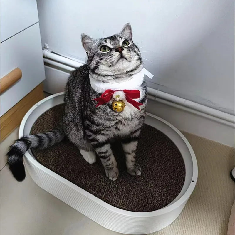 Festive Cat Scarf with Bell Necklace for Holiday Photoshoots
