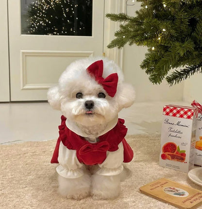 Winter Warm Dog Dress Set with Bow Knot for Small Breeds