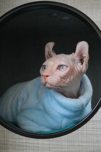 Sphynx Cat Sweater and Hoodie Outfit for Pets