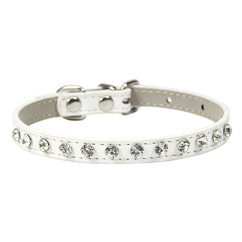 Rhinestone Cat Collar and Leather Dog Neck Strap