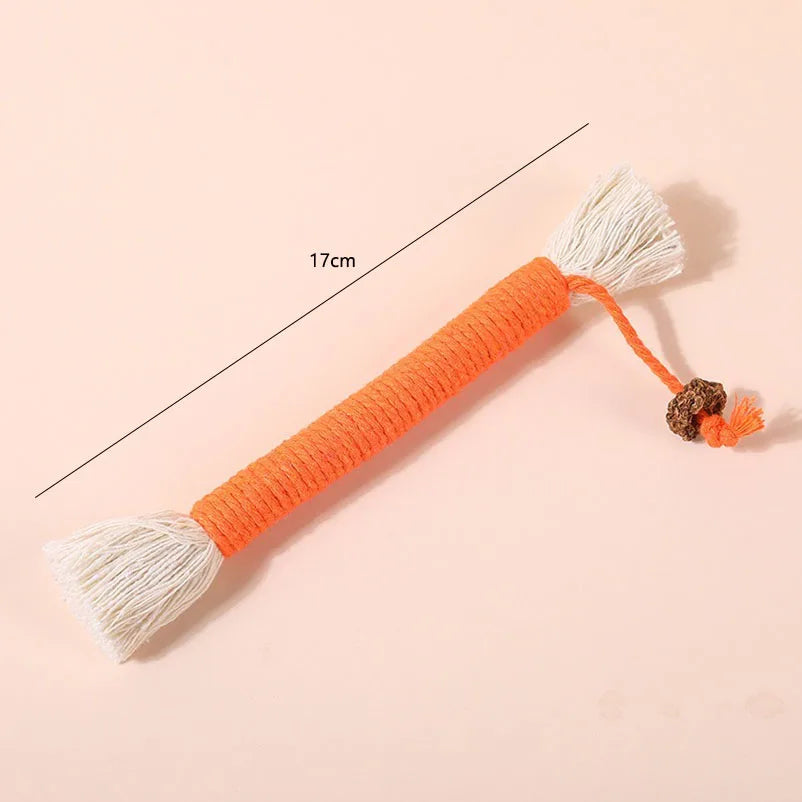 Chew-Resistant Cat Teaser Toys for Kittens and Playtime