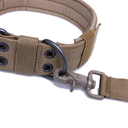 Reflective Heavy-Duty Nylon Dog Collar for Training