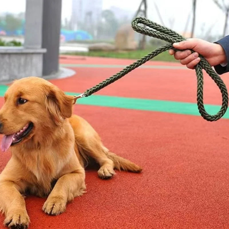 Nylon Braided Dog Leash for Large Breeds - Heavy Duty Walking Rope