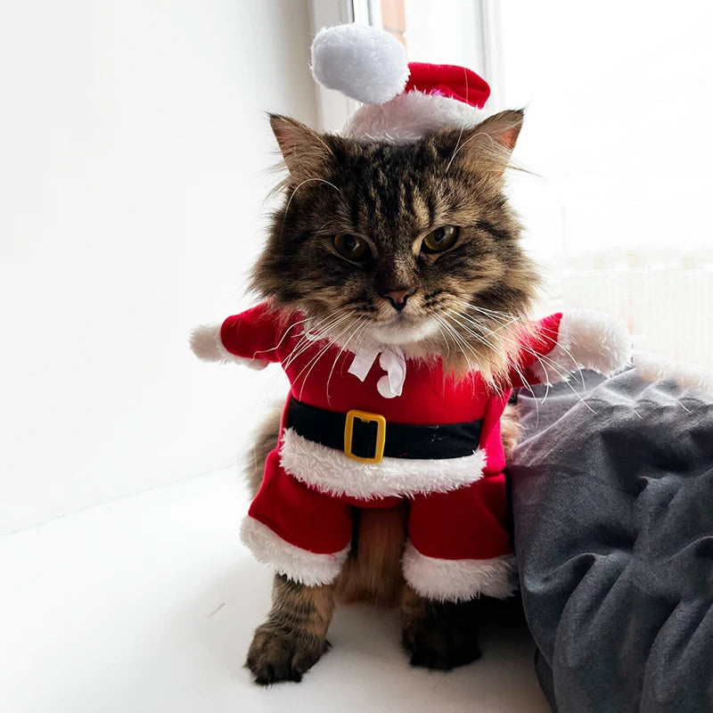 Christmas Cat and Dog Santa Costumes for Festive Parties