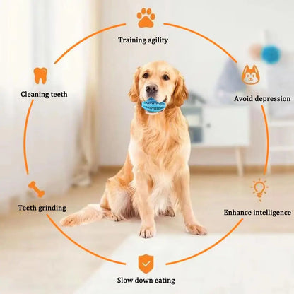Natural Rubber Dog Chew Toy Ball for Teeth Cleaning
