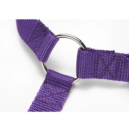 Adjustable Two-in-One Pet Car Seat Belt and Leash