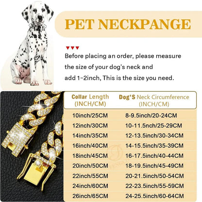 Gold Metal Dog Chain Collar for Small to Large Pets