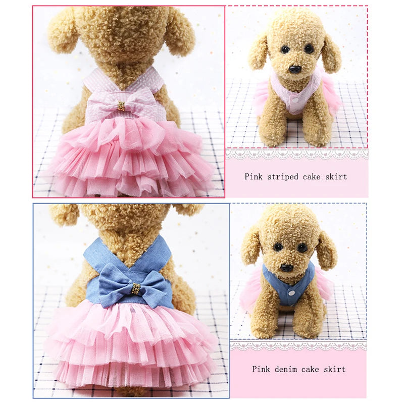 Lace Skirt Dress for Dogs and Cats - Summer Pet Apparel