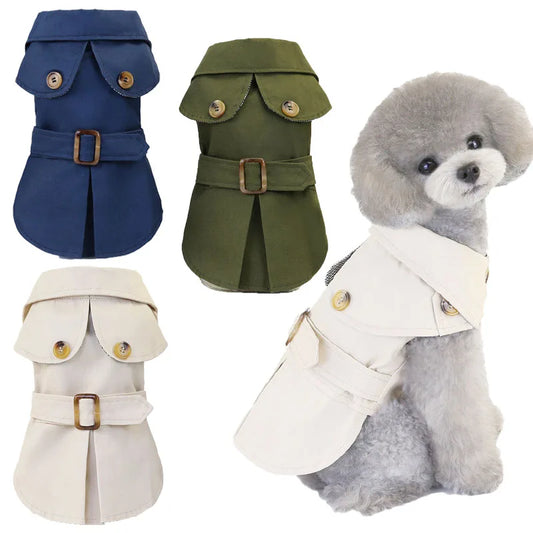 Short Sleeve Green Dog Coat for Small Breeds like Yorkies and Chihuahuas