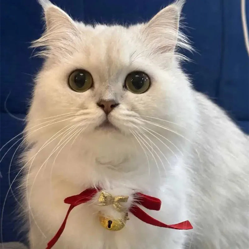 Festive Cat Scarf with Bell Necklace for Holiday Photoshoots